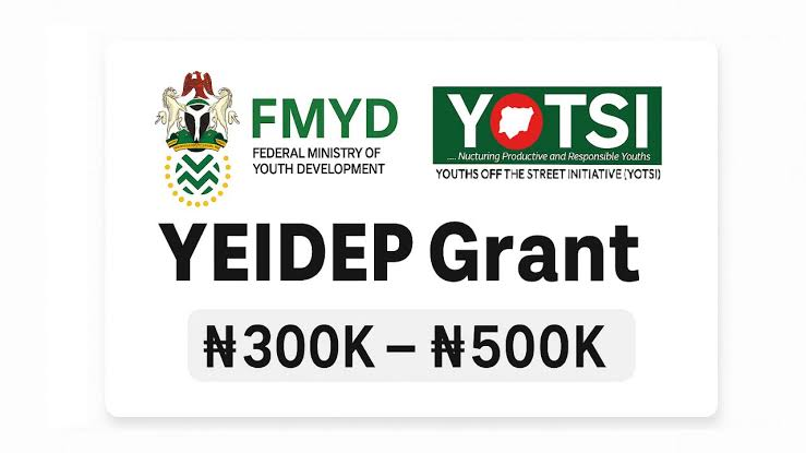 yeidep-grant
